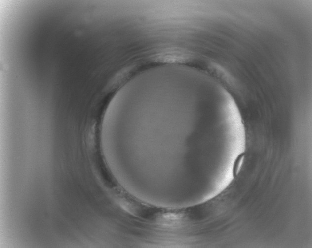 X0000068300163200605051942