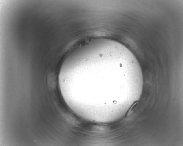 X0000068300164200605051942