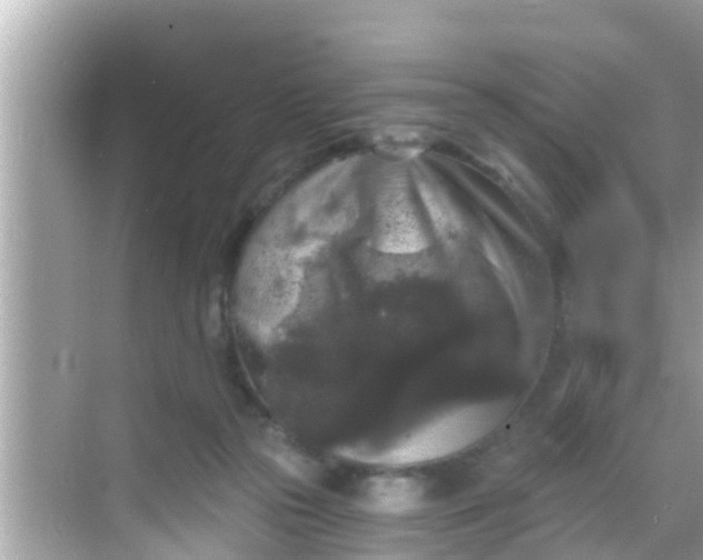 X0000068300169200605051942