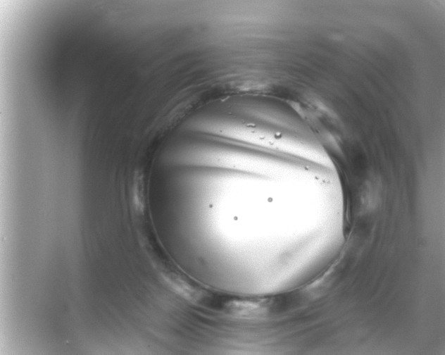 X0000068300170200605051942