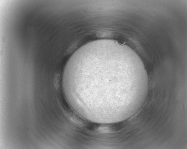 X0000068300171200605051942