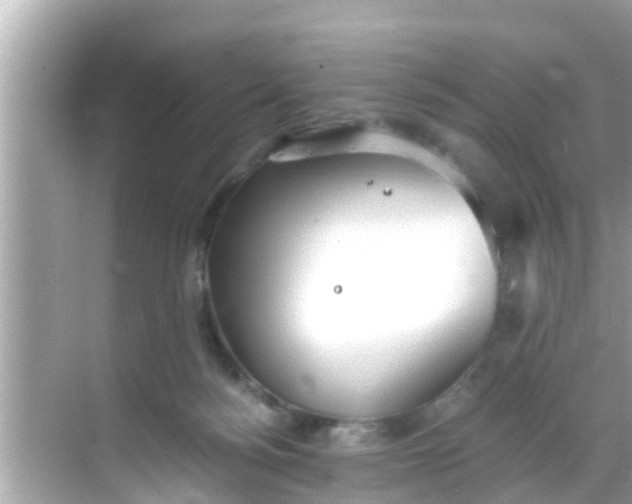 X0000068300172200605051942