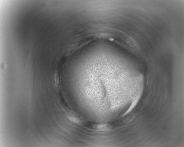 X0000068300173200605051942