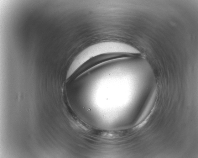 X0000068300174200605051942