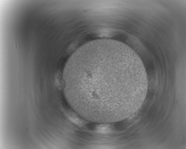 X0000068300175200605051942