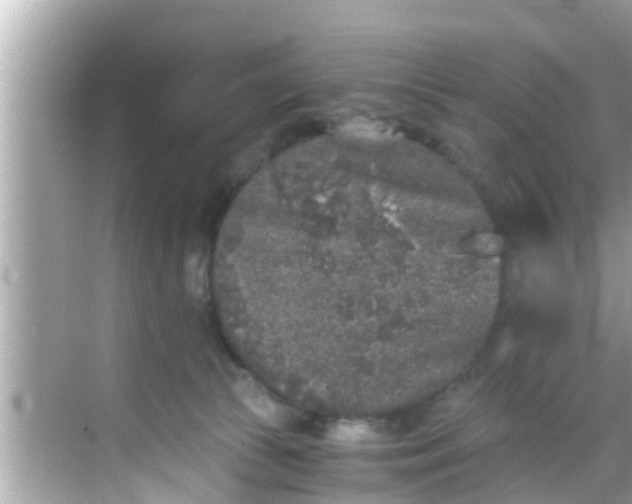 X0000068300177200605051942