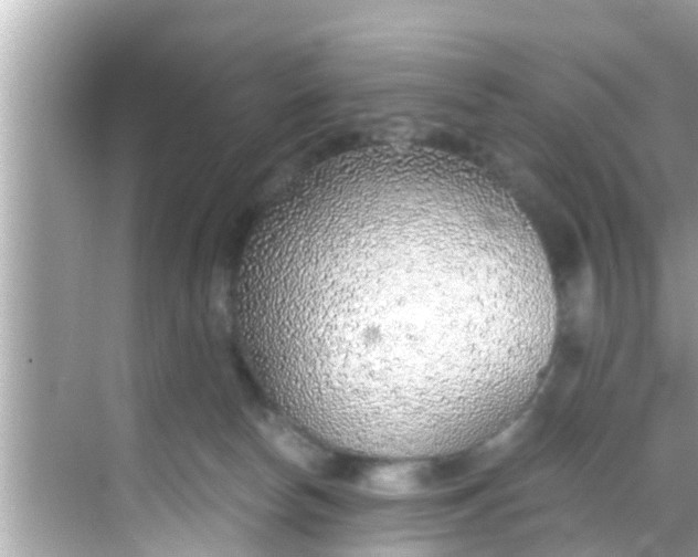 X0000068300178200605051942