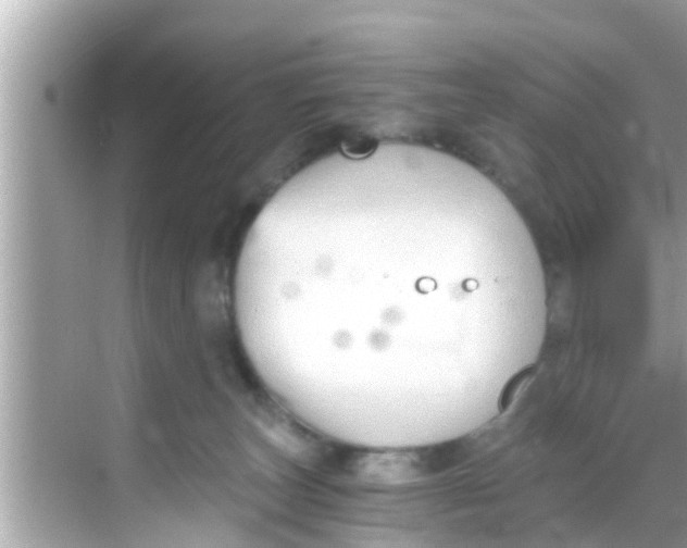 X0000068300179200605051942