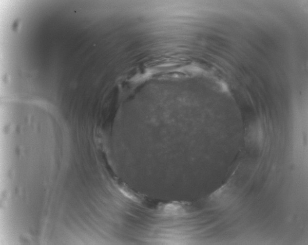 X0000068300180200605051942