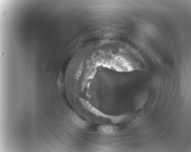 X0000068300181200605051942