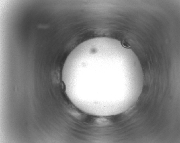 X0000068300183200605051942