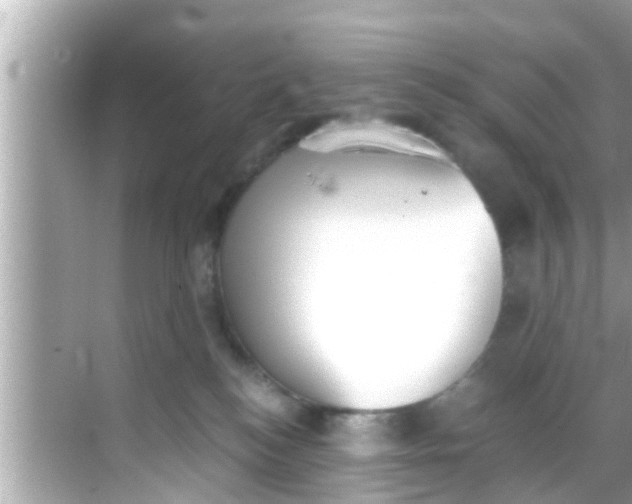 X0000068300184200605051942