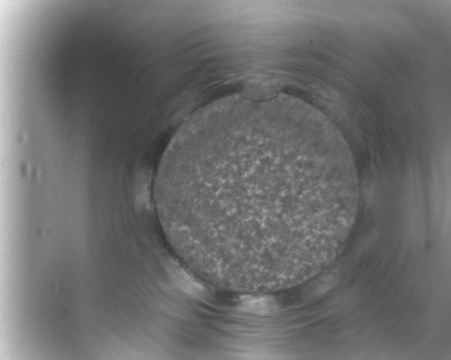 X0000068300185200605051942