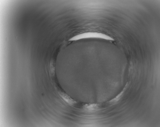 X0000068300186200605051942