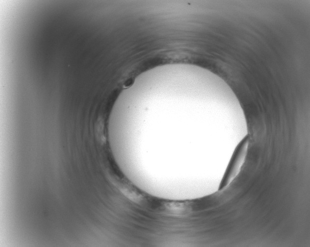 X0000068300187200605051942