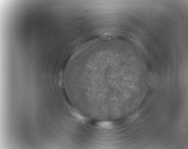 X0000068300189200605051942