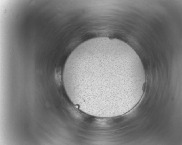 X0000068300190200605051942