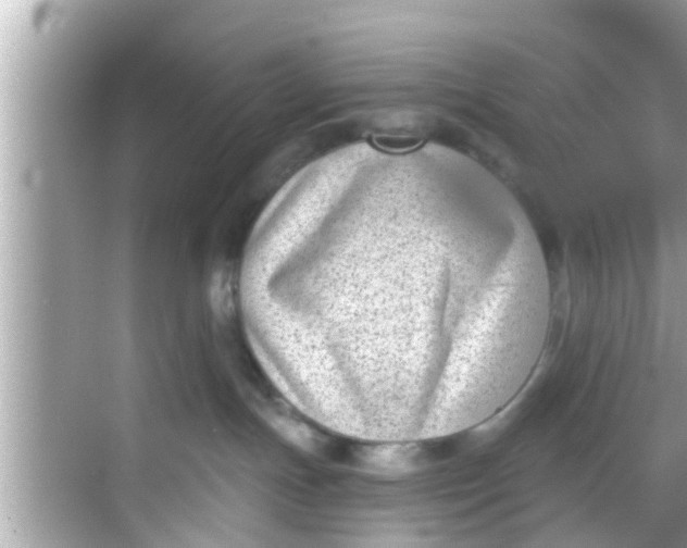 X0000068300191200605051943