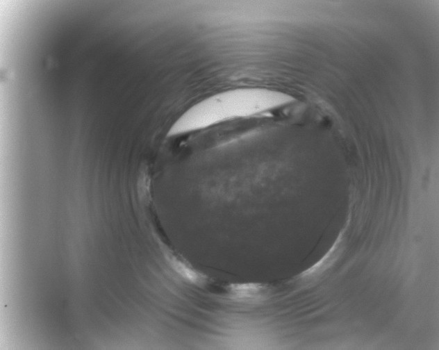 X0000068300192200605051943