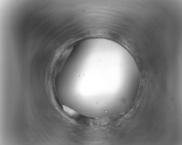 X0000068300193200605051942