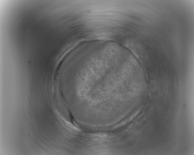 X0000068300194200605051942