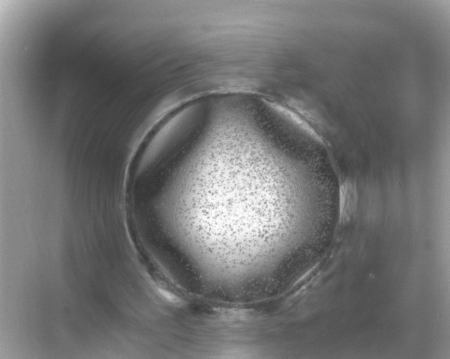 X0000068300195200605051942