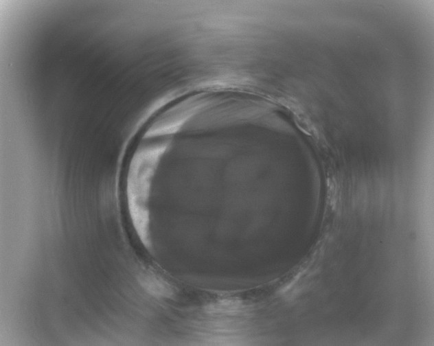 X0000068300196200605051942