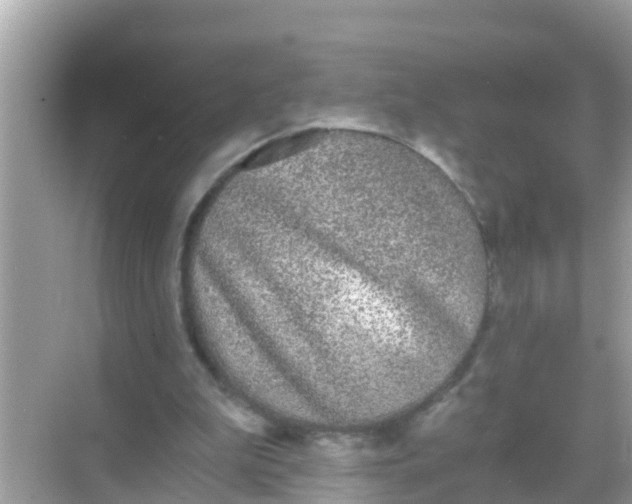 X0000068300199200605051942