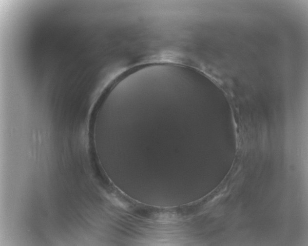 X0000068300200200605051942