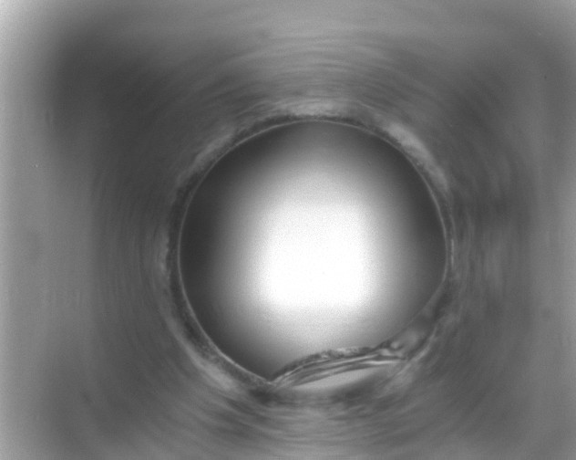 X0000068300201200605051942