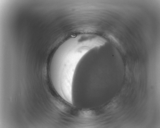 X0000068300202200605051942