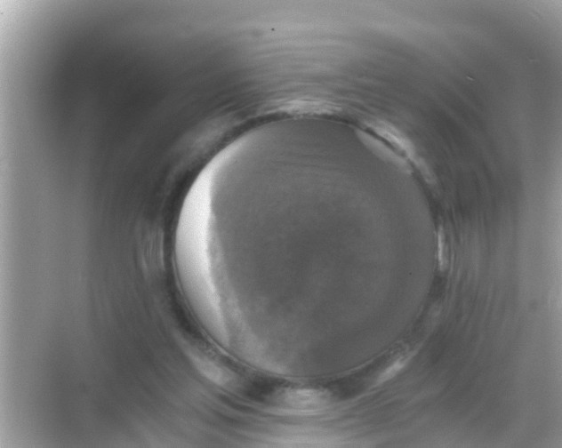 X0000068300205200605051942