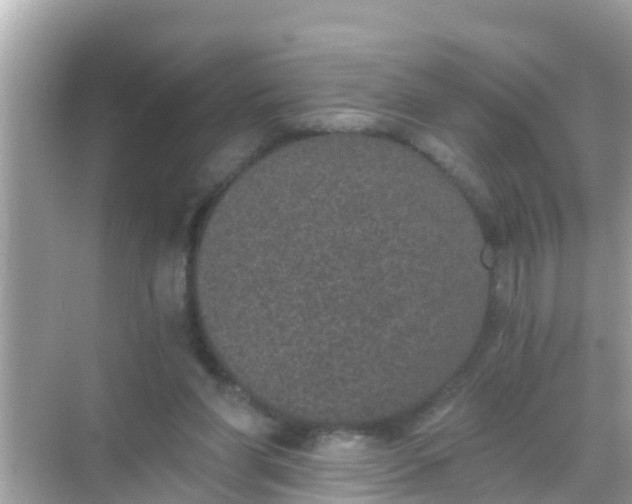 X0000068300206200605051942