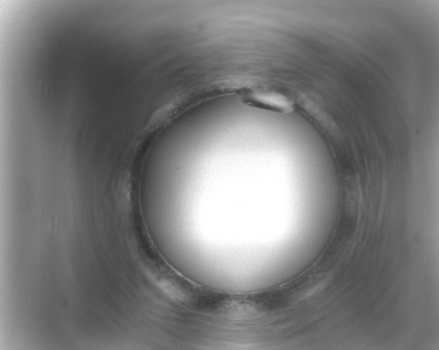 X0000068300207200605051941