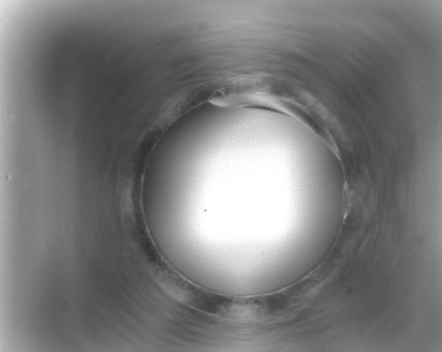 X0000068300209200605051941