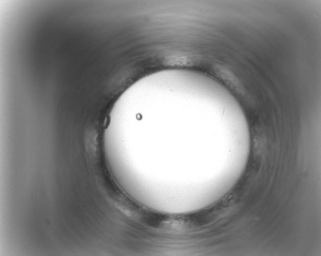 X0000068300211200605051941