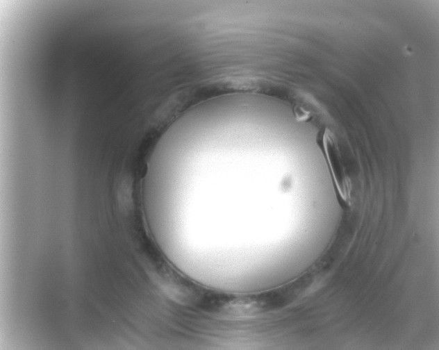 X0000068300213200605051941