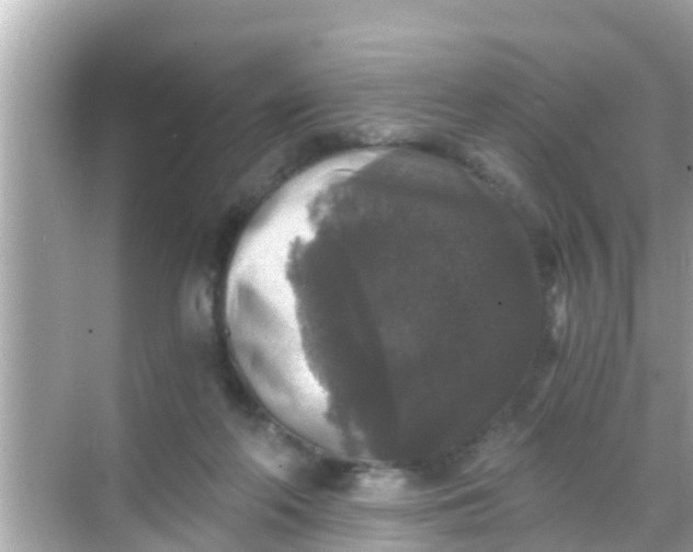 X0000068300214200605051941