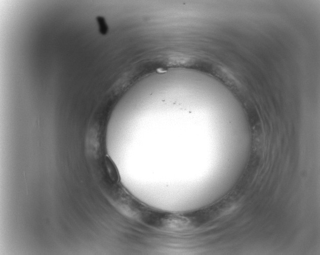 X0000068300215200605051941