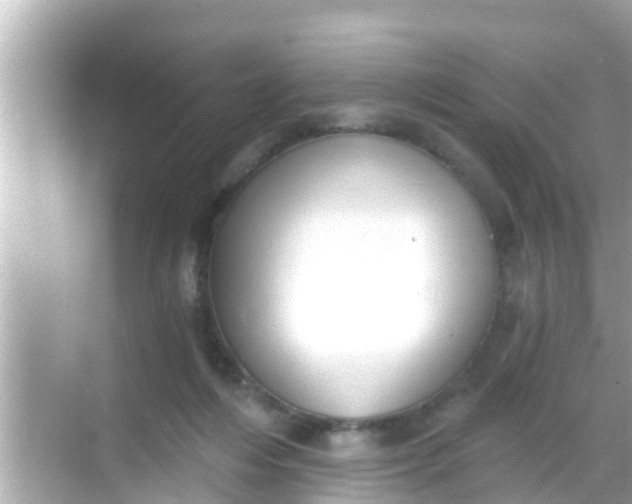 X0000068300216200605051941