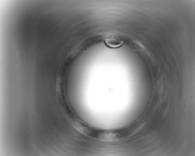 X0000068300217200605051941