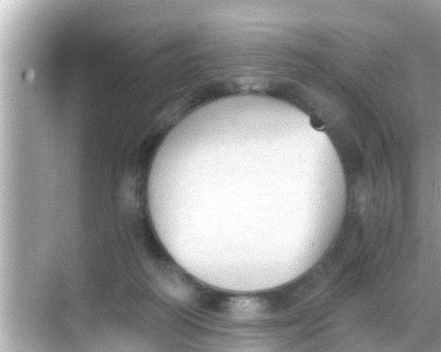 X0000068300218200605051941