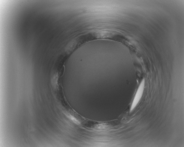 X0000068300219200605051941