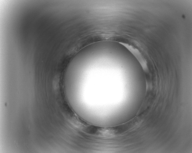 X0000068300221200605051941