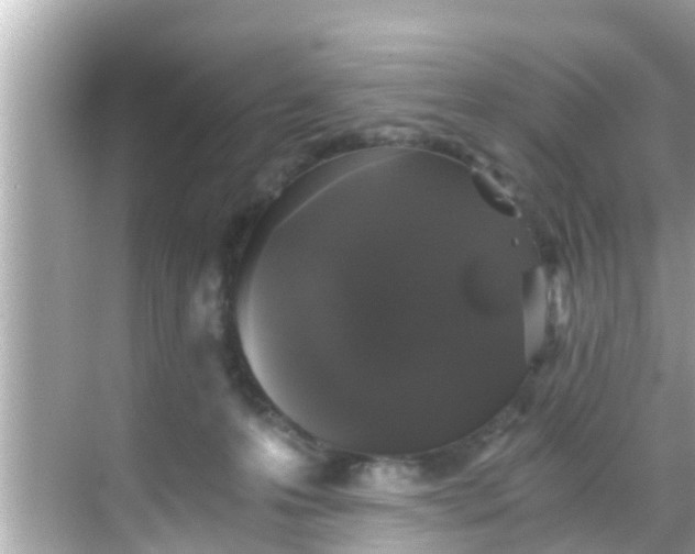 X0000068300223200605051941