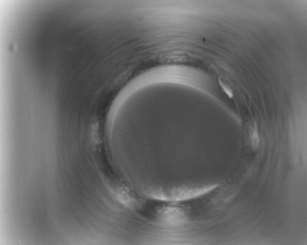 X0000068300224200605051941