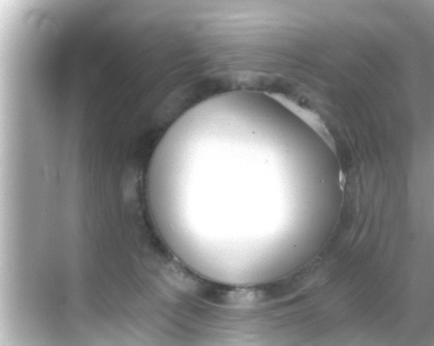 X0000068300225200605051941