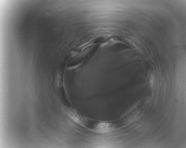 X0000068300227200605051941