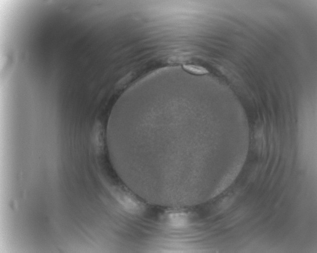 X0000068300228200605051941