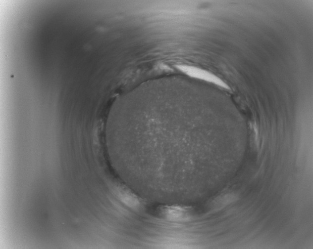 X0000068300229200605051941